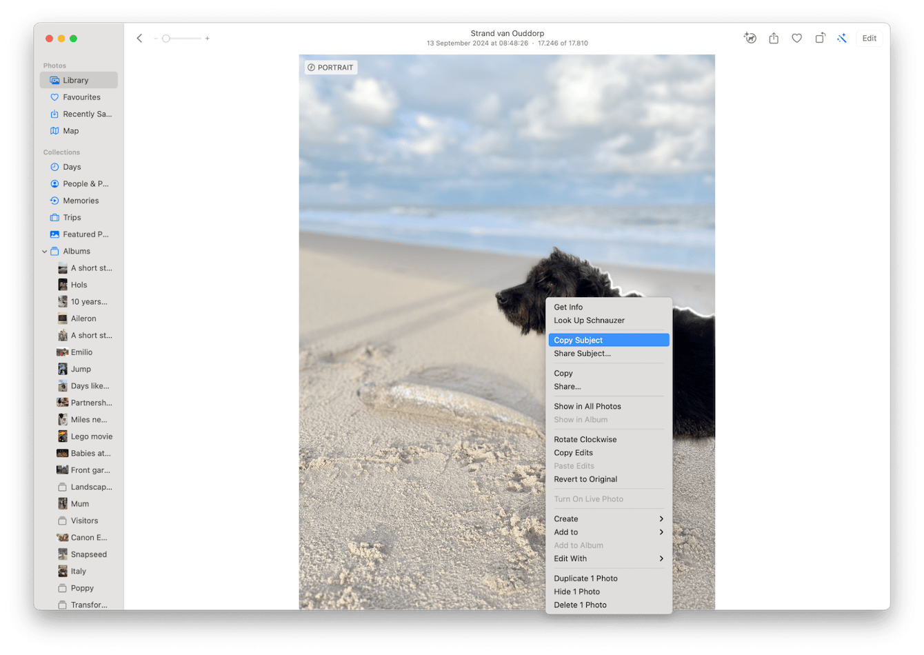 How to remove backgrounds from images on Mac step by step